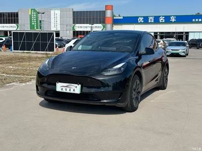 2024 Tesla Model Y Rear-Wheel Drive Version, фото 1, лот 10482271