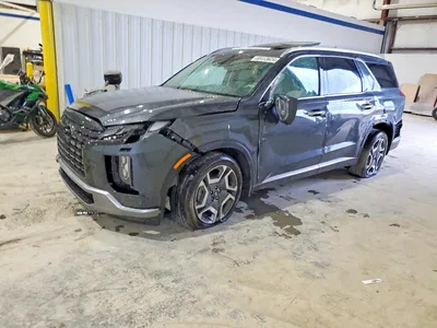 2024 HYUNDAI PALISADE LIMITED, фото 1, лот 10764481