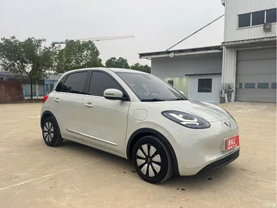 2023 Wuling Motors Wuling Bingo 203km Comfort Version, фото 3, лот 11137745