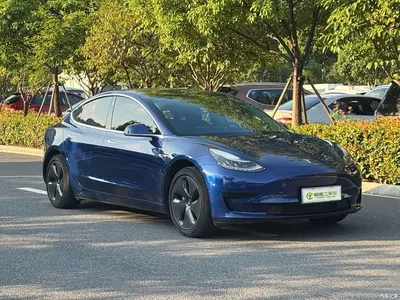 2019 Tesla Model 3 Standard Range Rear-Wheel Drive Upgrade, фото 4, лот 10284783