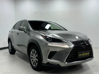 2020 Lexus NX 200 AWD F Sport China VI, фото 3, лот 10317212