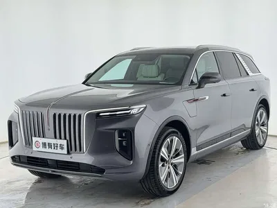 2021 Hongqi E-HS9 460km Flagship Comfort 6-seater, фото 1, лот 10287457