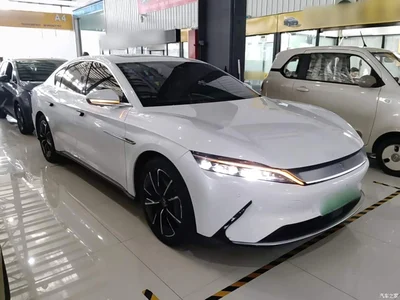 2020 BYD Han EV AWD High-Performance Flagship, фото 4, лот 11579324