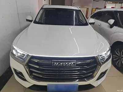 2021 Haval H6 Model National Trend Edition 1.5T Auto Champion, фото 3, лот 10285402