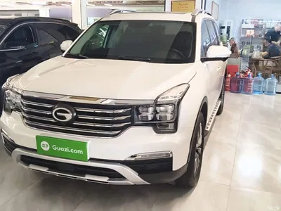 2019 GAC Trumpchi Trumpchi GS8 390T 2WD Luxury Smart Connect Edition (7-seater), фото 1, лот 10422630