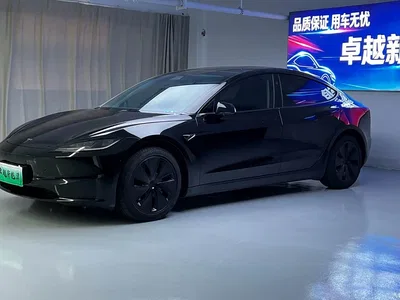 2025 Tesla Model 3 Model Rear-Wheel Drive Edition, фото 1, лот 10346693