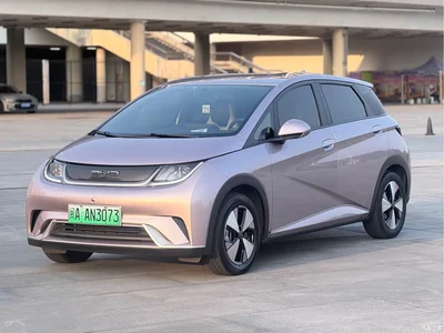 2021 BYD Dolphin 405km Freedom Edition, фото 1, лот 11547505