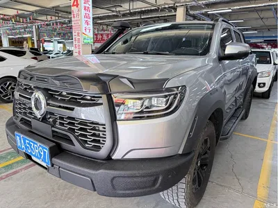 2021 Great Wall Pao 2.0T Commercial Edition Automatic Gasoline 4WD Navigation Standard Box GW4C20B, фото 1, лот 10245869