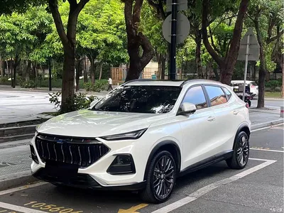 2021 Changan Oshan Changan Oushang X5 1.5T DCT Flagship, фото 1, лот 11169930