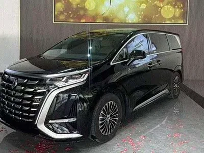 2024 Denza D9 DM-i 980 AWD Prestige, фото 1, лот 10356373