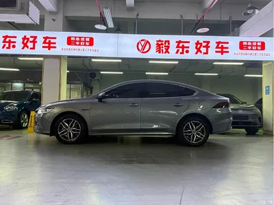 2023 BYD Qin PLUS Champion Edition DM-i 120KM Leading Type, фото 3, лот 10444881