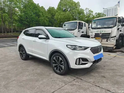 2021 WEY VV6 2.0T 2WD Smart Protection+, фото 3, лот 10452172
