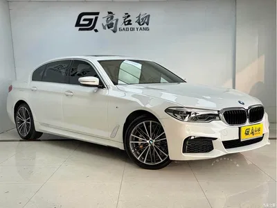2020 BMW 5 Series 530Li Exclusive M Sport Package, фото 3, лот 11534970