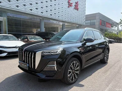 2025 Hongqi HS5 2.0T 4WD Qixiang Pro, фото 1, лот 10361285