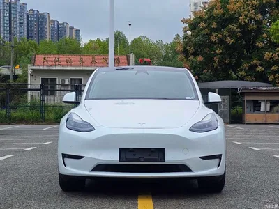 2023 Tesla Model Y Long Range All-Wheel Drive Edition, фото 1, лот 11249613