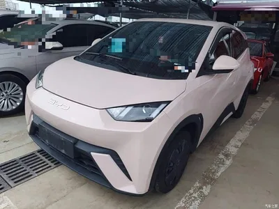 2024 BYD Seagull Glory Edition 305km Vitality Edition, фото 1, лот 10262799