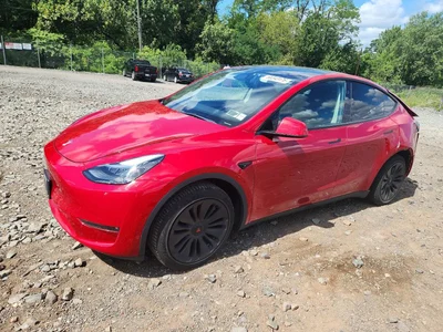 2023 TESLA MODEL Y, фото 1, лот 10854841