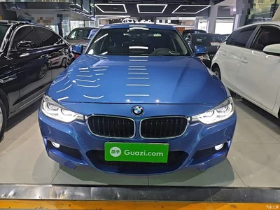2017 BMW 3 Series 320Li M Sport, фото 3, лот 10457442