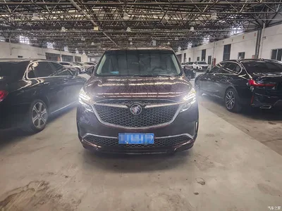 2020 Buick GL8 Avenir Six-Seat Elegance Edition, фото 2, лот 10302507