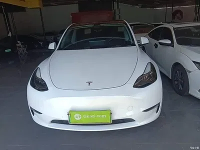 2021 Tesla Model Y Standard Range Rear-Wheel Drive, фото 3, лот 10370506