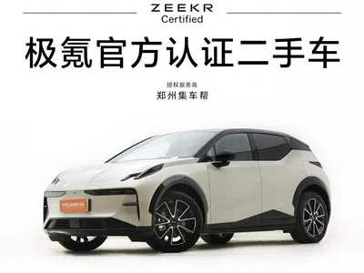 2025 ZEEKR X Four-Seat Rear-Wheel Drive Magic Cube Edition, фото 1, лот 11198207