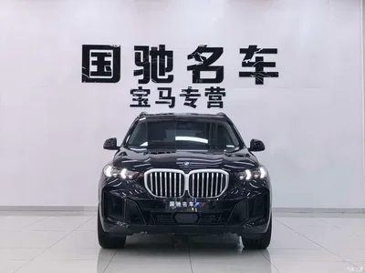 2023 BMW X5 xDrive 30Li Premium M Sport Black Night Package, фото 2, лот 10410999