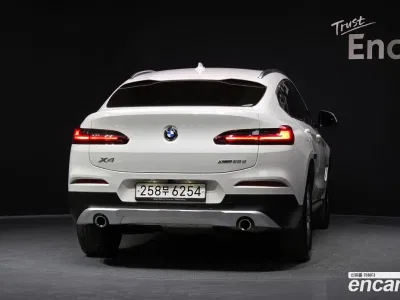 2020 BMW X4 xDrive20d xLine, фото 3, лот 10072211