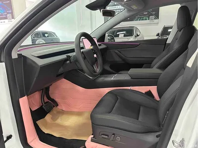 2025 Tesla Model Y Rear-Wheel Drive, фото 4, лот 11551869