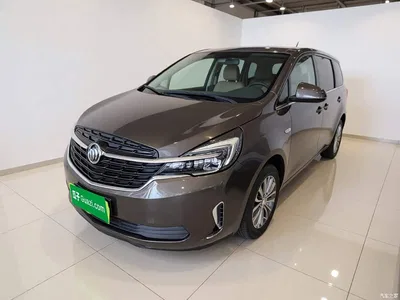 2020 Buick GL8 Model Land Business Class 652T Comfort, фото 2, лот 10258898