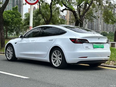 2019 Tesla Model 3 Standard Range Rear-Wheel Drive Upgrade, фото 4, лот 10346259