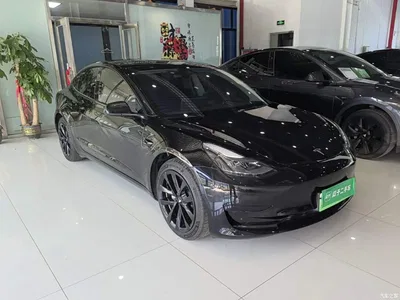 2022 Tesla Model 3 Model Rear-Wheel Drive Version, фото 4, лот 10389891