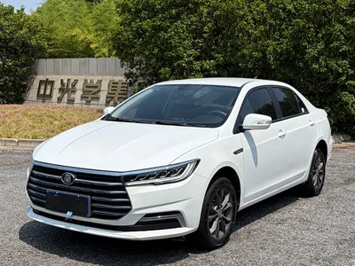 2019 BYD Qin 1.5L Automatic Luxury Edition, фото 1, лот 10343386