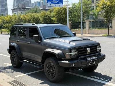 2024 Tank 300 Model 330 3.0T V6, фото 3, лот 10344157