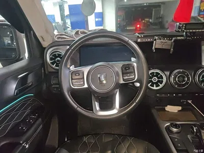 2024 Tank 300 Model 2.0T Challenger, фото 3, лот 10689479