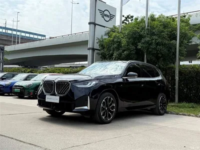2025 BMW X3 xDrive30L Leading M Sport Package, фото 1, лот 10414101