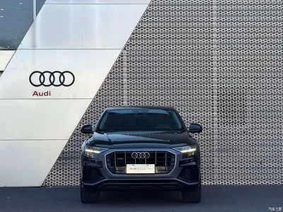 2019 Audi Q8 55 TFSI Premium Dynamic, фото 2, лот 11095510