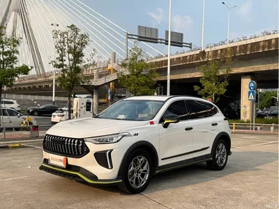 2022 Haval Chitu Power Edition 1.5T Purple Copper Rabbit, фото 1, лот 10771391