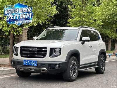 2022 Haval Big Dog 2.0T DCT AWD Chinese Pastoral Dog Edition, фото 1, лот 10385950
