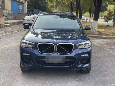 2018 BMW X3 xDrive25i M Sport Package China V, фото 4, лот 10434787