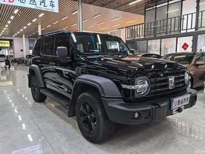 2021 Tank 300 Off-road Version 2.0T Conqueror, фото 3, лот 10344835
