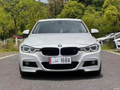 2019 BMW 3 Series 320Li M Sport Package, фото 2, лот 11074769