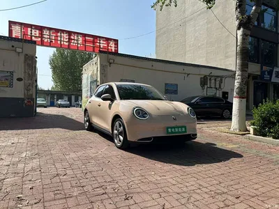 2022 Ora Good Cat 400km Standard Range Luxury LFP, фото 3, лот 10332205