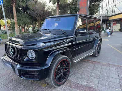 2020 Mercedes-Benz G-Class G 350, фото 1, лот 10255044
