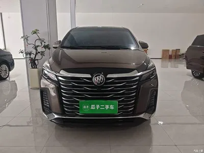 2023 Buick GL8 Land Business Class 652T Luxury, фото 3, лот 10261959
