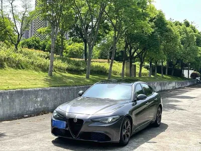 2019 Alfa Romeo Giulia 2.0T 280HP Black Package Limited Edition, фото 1, лот 10239809