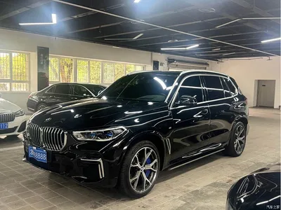 2023 BMW X5 xDrive 40Li M Sport Package, фото 1, лот 10463381