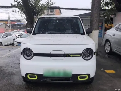 2025 Geely Galaxy Panda mini 210km Vitality Bear, фото 3, лот 11203451