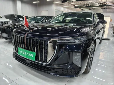 2024 Hongqi H9 2.0T Qi Chang Private Fashion Edition, фото 2, лот 10289250