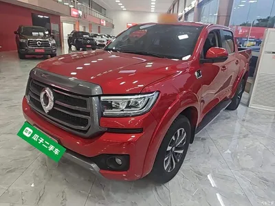 2023 Great Wall Pao 2.0T Passenger Automatic Diesel 4WD Comfort GW4D20M, фото 1, лот 10768115
