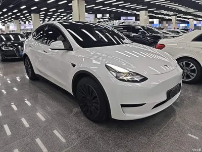 2022 Tesla Model Y Rear-Wheel Drive Version, фото 4, лот 10370239